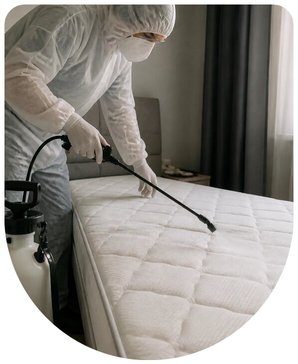 Профессиональная обработка матраса от клопов в Ноябрьске